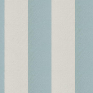 Cirque 64J9351 By JF Fabric