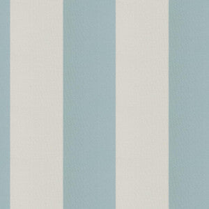 Cirque 64J9351 By JF Fabric