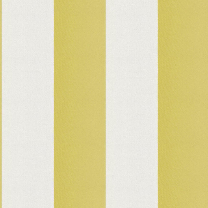 CIRQUE 72J9351 by JF Fabric CIRQUE 59% , 41% Polyester India Horizontal: 4 and Vertical: 56 - Fabric Carolina -