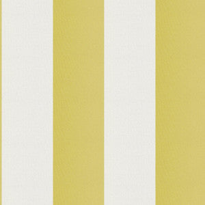 Cirque 72J9351 By JF Fabric