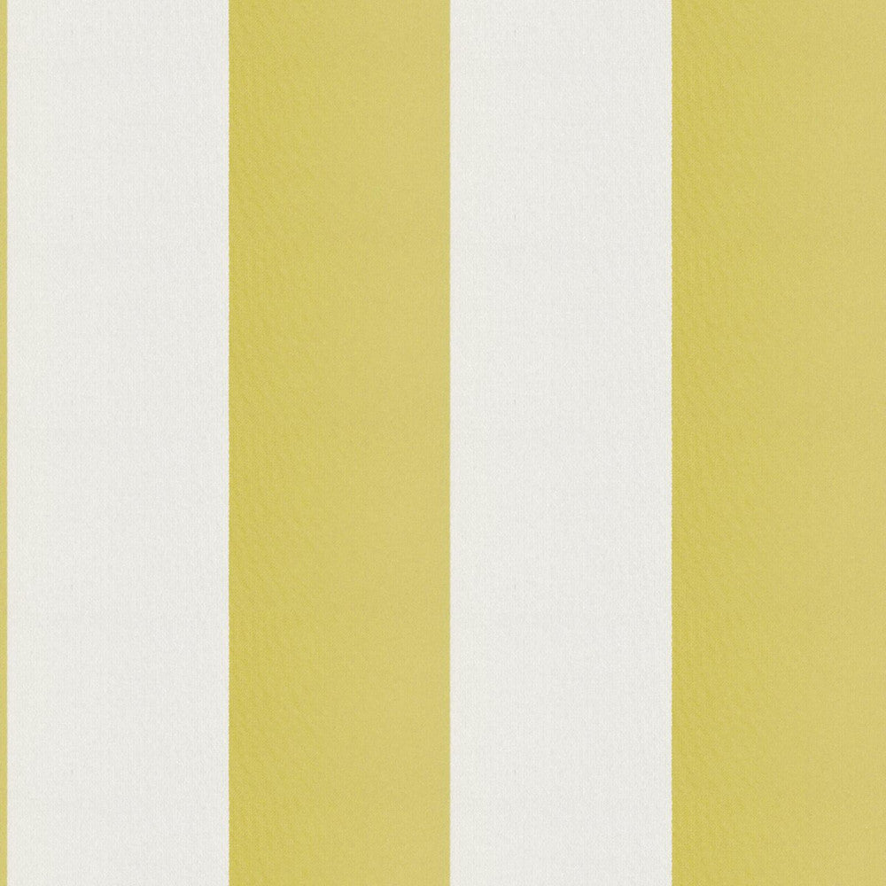 CIRQUE 72J9351 by JF Designer Fabric CIRQUE 59% , 41% Polyester India  Horizontal: 4 and Vertical:  56  - Swanky Fabrics -