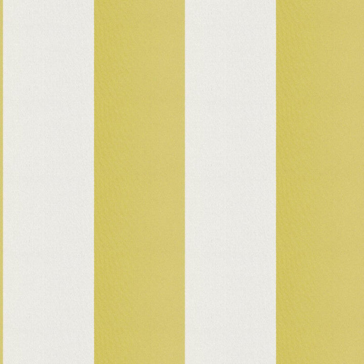 CIRQUE 72J9351 by JF Designer Fabric CIRQUE 59% , 41% Polyester India  Horizontal: 4 and Vertical:  56  - Swanky Fabrics -