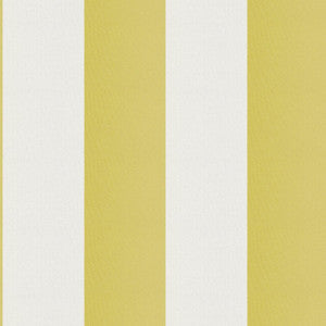 Cirque 72J9351 By JF Fabric
