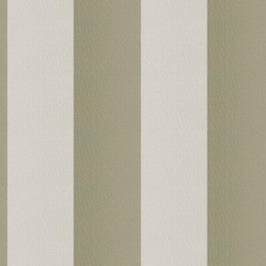 Cirque 77J9351 By JF Fabric