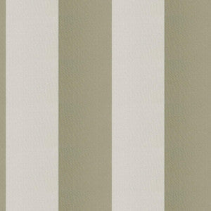 Cirque 77J9351 By JF Fabric