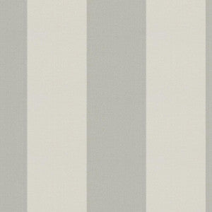 Cirque 93J9351 By JF Fabric