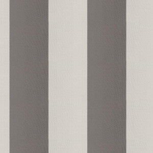 Cirque 97J9351 By JF Fabric