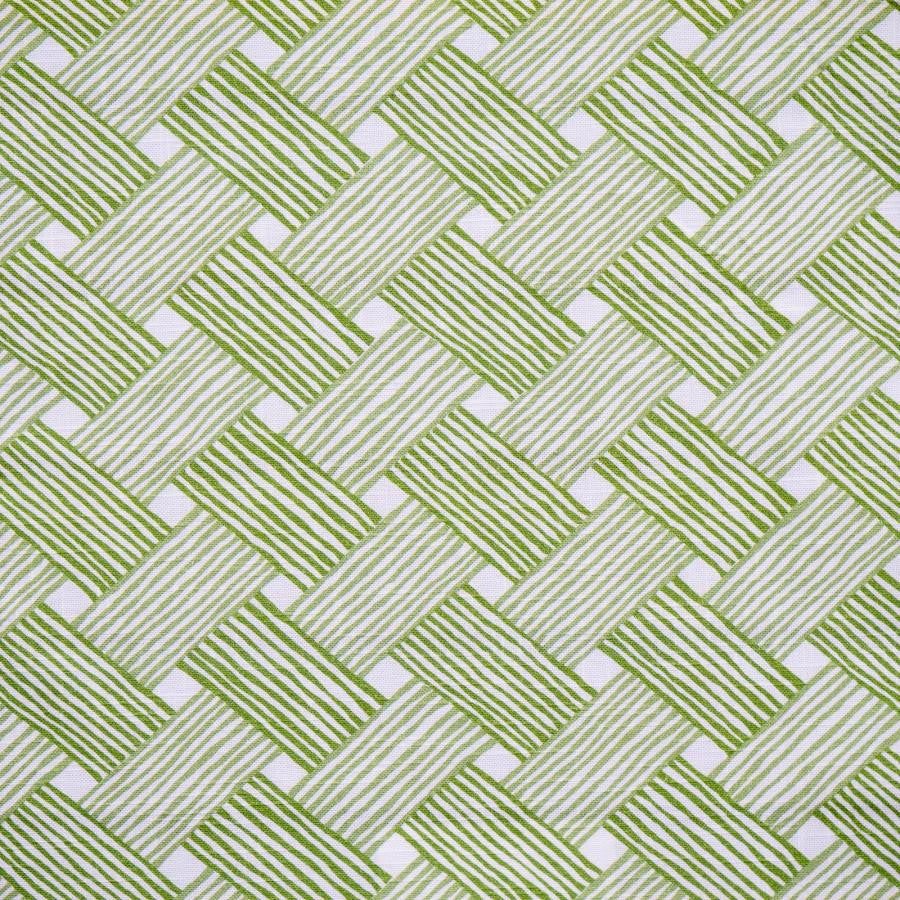 Chambord # 344 Nettle by Maxwell Fabric Color Theory-Vol.Viii Rosemary 100% COTTON SPAIN V-25.5" H-18" 55" - Fabric Carolina -