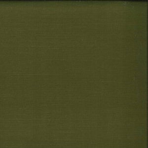 Citadel Earth by Norbar Fabric DELPHI 100% POLYESTER INDIA 54 - Fabric Carolina -