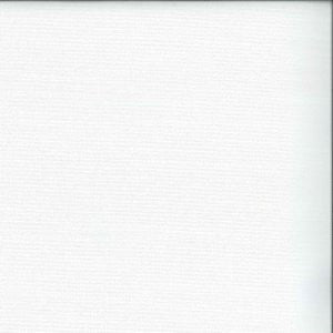Citadel White by Norbar Fabric DELPHI 100% POLYESTER INDIA 54 - Fabric Carolina -