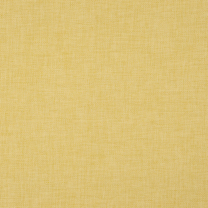 CIVIC 14J7891 by JF Fabric Dynamo 100% Polyester Turkey Horizontal: and Vertical: 55 - Fabric Carolina -