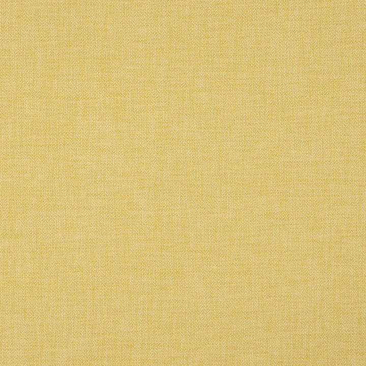 CIVIC 14J7891 by JF Designer Fabric Dynamo 100% Polyester Turkey  Horizontal:  and Vertical:  55  - Swanky Fabrics -
