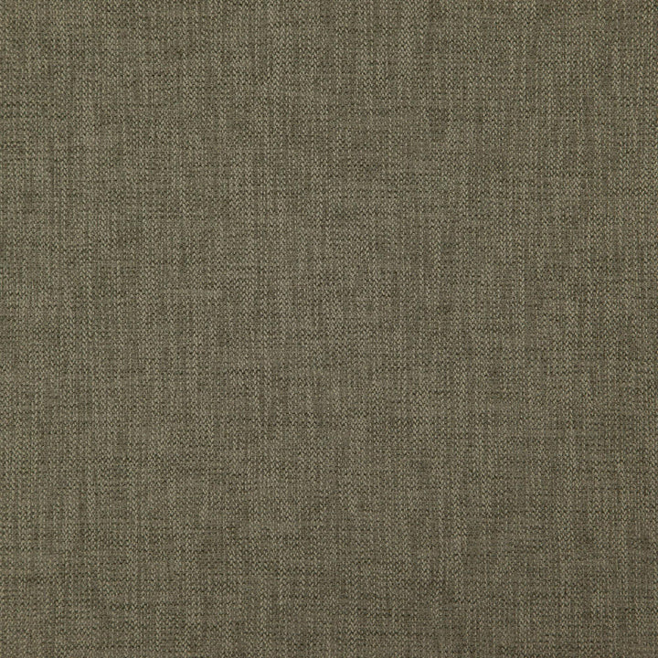 CIVIC 38J7891 by JF Designer Fabric Dynamo 100% Polyester Turkey  Horizontal:  and Vertical:  55  - Swanky Fabrics -