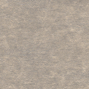 Cowles-Nj # 139 Silver by Maxwell Fabric