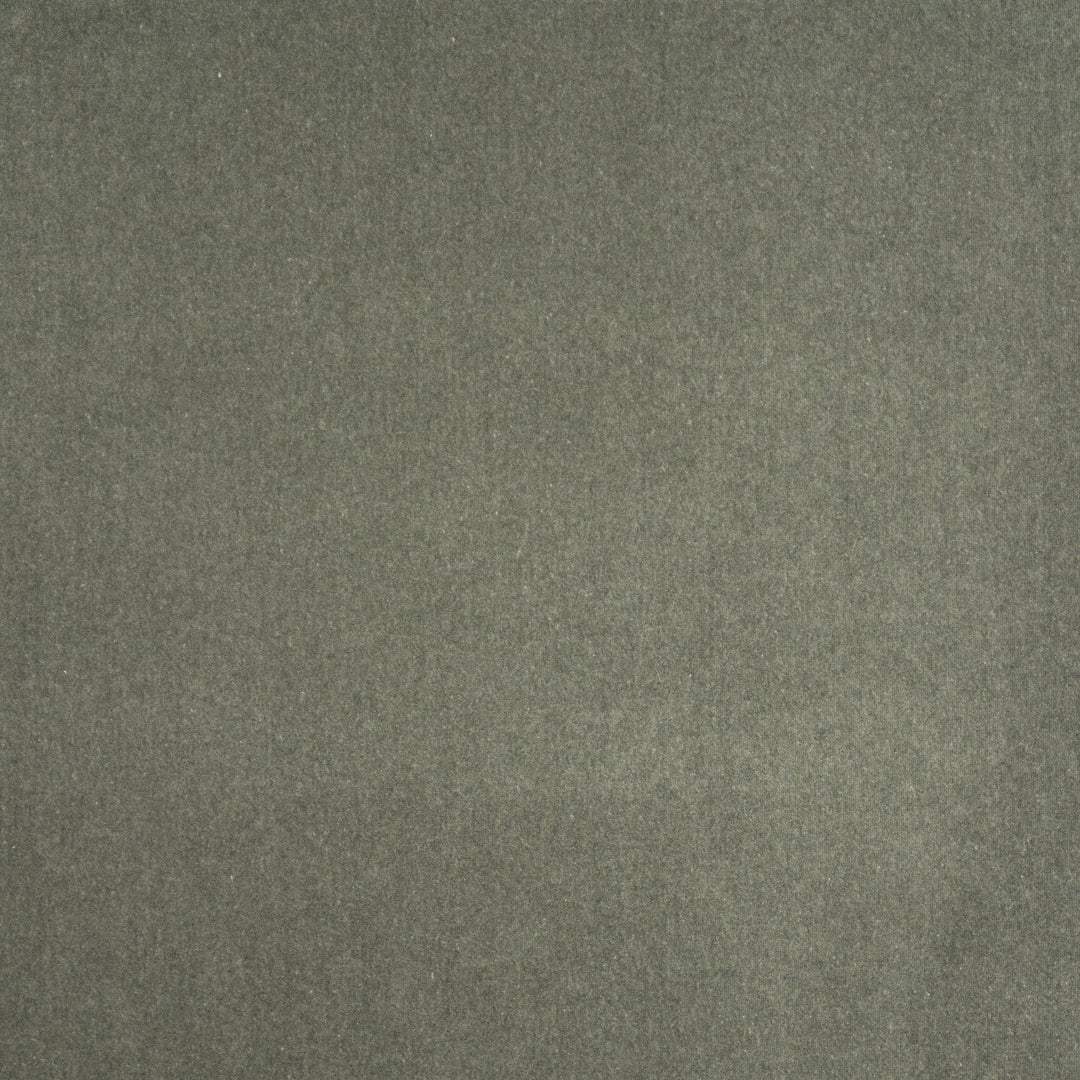 Coronado # 407 Loden by Maxwell Designer Fabric Performance Velvets-Vol.V 52% COTTON 48% POLYESTER TURKEY 55" - Swanky Fabrics -