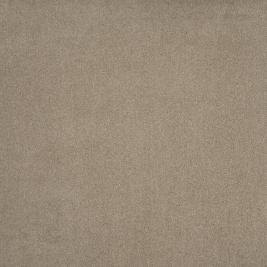 Coronado # 413 Fawn by Maxwell Designer Fabric Performance Velvets-Vol.V 52% COTTON 48% POLYESTER TURKEY 55" - Swanky Fabrics -