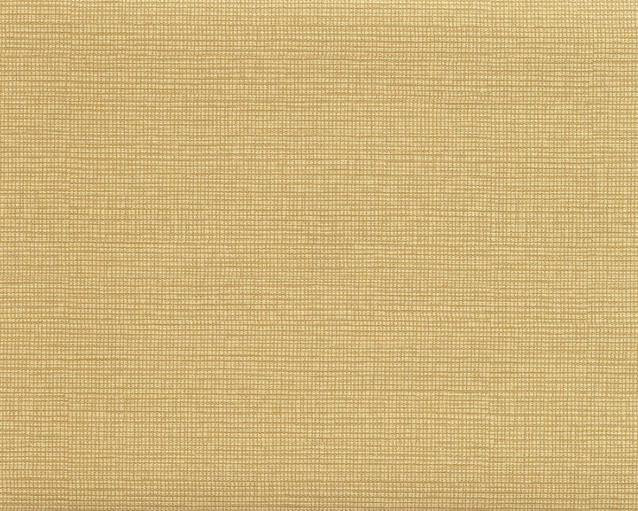 Modern Line Brown Wallpaper by 750 Home Color Library II Covers about 57.8 square feet 21-in by 33-ft long roll Unpasted 0 - Fabric Carolina -