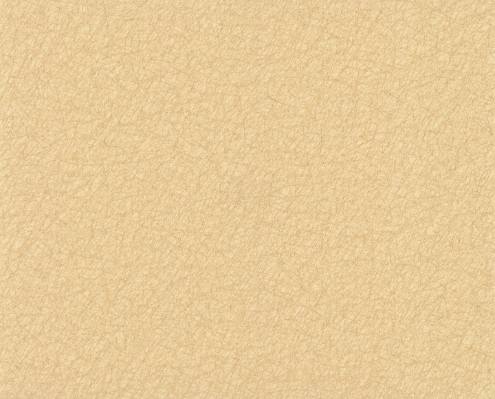 Tossed Fibers Tan Wallpaper by 750 Home Color Library II Covers about 57.8 square feet 21-in by 33-ft long roll Unpasted 0 - Fabric Carolina -