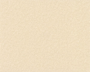 Tossed Fibers Light Beige Wallpaper by 750 Home