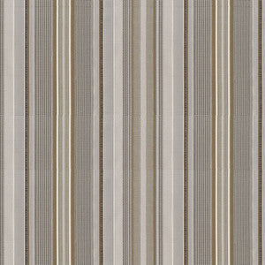 Clarity 9009 Graphite by ABBEYSHEA Fabric