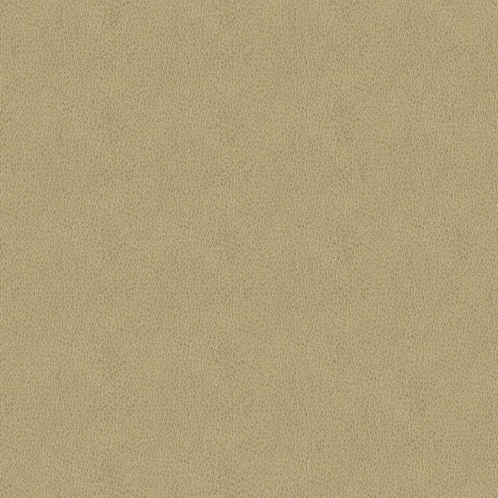 Baldwin 6003 Beige by ABBEYSHEA Fabric N/A 85% Polyester, 15% Cotton China 50,000 Double Rubs </p><p>Repeat: Horizontal: 14.3" (36.5 cm) Across the Roll and Vertical: 29.5" (75.0 cm) Up the Roll 56" (142 cm) - Fabric Carolina -