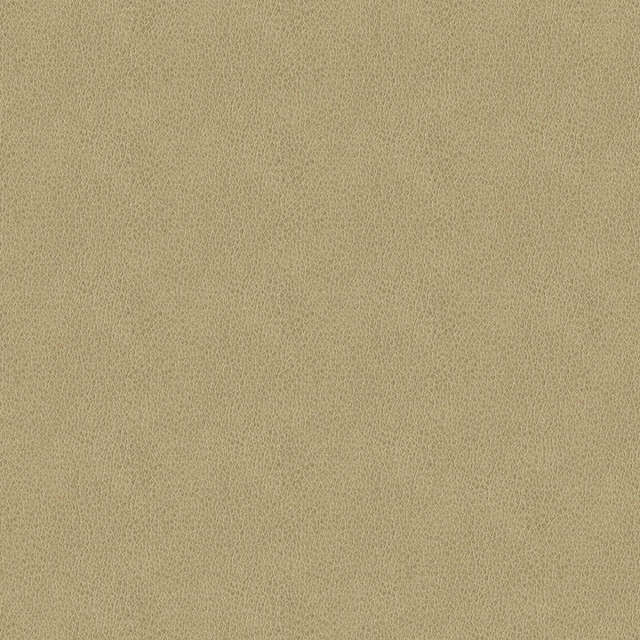 Baldwin 6003 Beige by ABBEYSHEA Fabric N/A 85% Polyester, 15% Cotton China 50,000 Double Rubs </p><p>Repeat: Horizontal: 14.3" (36.5 cm) Across the Roll and Vertical: 29.5" (75.0 cm) Up the Roll 56" (142 cm) - Fabric Carolina -