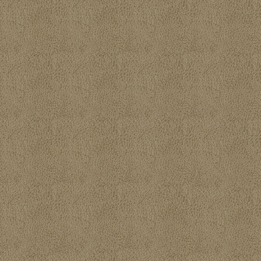 Baldwin 6009 Taupe by ABBEYSHEA Fabric N/A 85% Polyester, 15% Cotton China 50,000 Double Rubs </p><p>Repeat: Horizontal: 14.3" (36.5 cm) Across the Roll and Vertical: 29.5" (75.0 cm) Up the Roll 56" (142 cm) - Fabric Carolina -