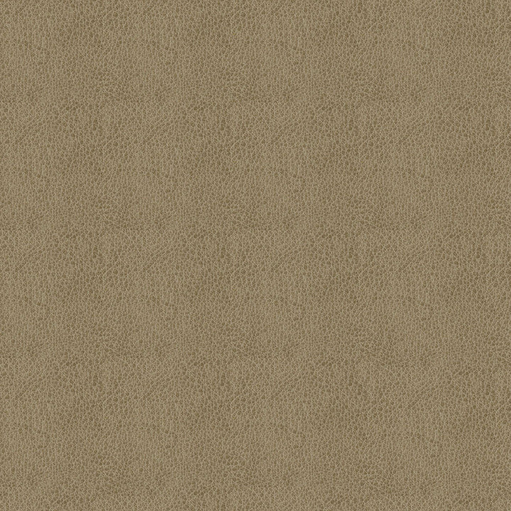 Baldwin 6009 Taupe by ABBEYSHEA Fabric N/A 85% Polyester, 15% Cotton China 50,000 Double Rubs </p><p>Repeat: Horizontal: 14.3" (36.5 cm) Across the Roll and Vertical: 29.5" (75.0 cm) Up the Roll 56" (142 cm) - Fabric Carolina -