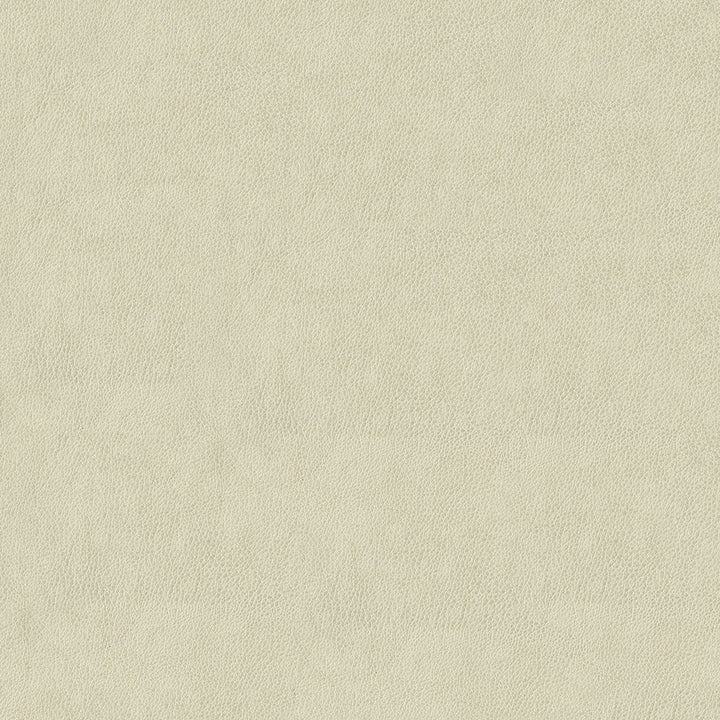 Baldwin 600 Bone by ABBEYSHEA Fabric N/A 85% Polyester, 15% Cotton China 50,000 Double Rubs </p><p>Repeat: Horizontal: 14.3" (36.5 cm) Across the Roll and Vertical: 29.5" (75.0 cm) Up the Roll 56" (142 cm) - Fabric Carolina -