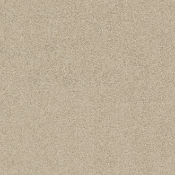Baldwin 602 Cream by ABBEYSHEA Fabric N/A 85% Polyester, 15% Cotton China 50,000 Double Rubs </p><p>Repeat: Horizontal: 14.3" (36.5 cm) Across the Roll and Vertical: 29.5" (75.0 cm) Up the Roll 56" (142 cm) - Fabric Carolina -