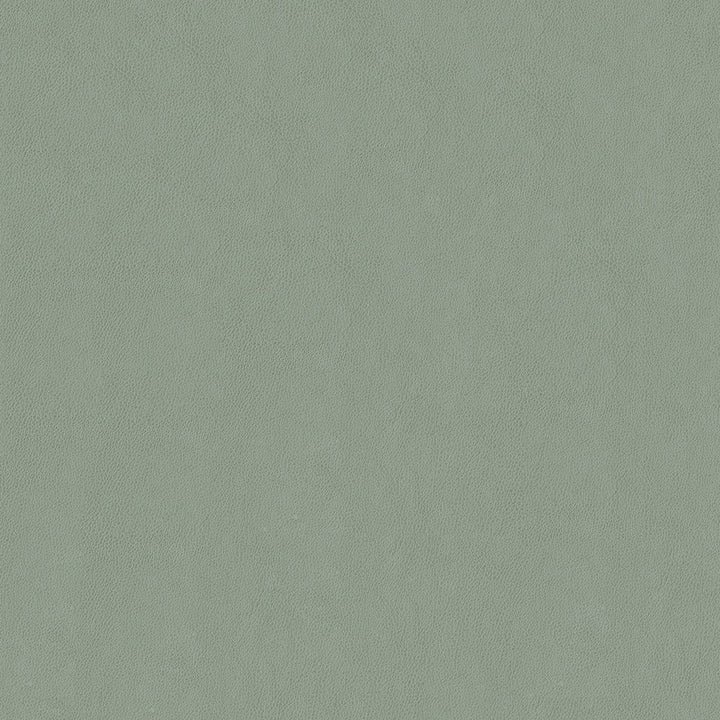Baldwin 9003 Ash by ABBEYSHEA Fabric N/A 21% Polyester, 10% Linen, 69% Rayon China 130,000 Double Rubs </p><p>Repeat: Horizontal: 13.78" (35 cm) Across the Roll and Vertical: 8.27" (21 cm) Up the Roll 56" (142 cm) - Fabric Carolina -