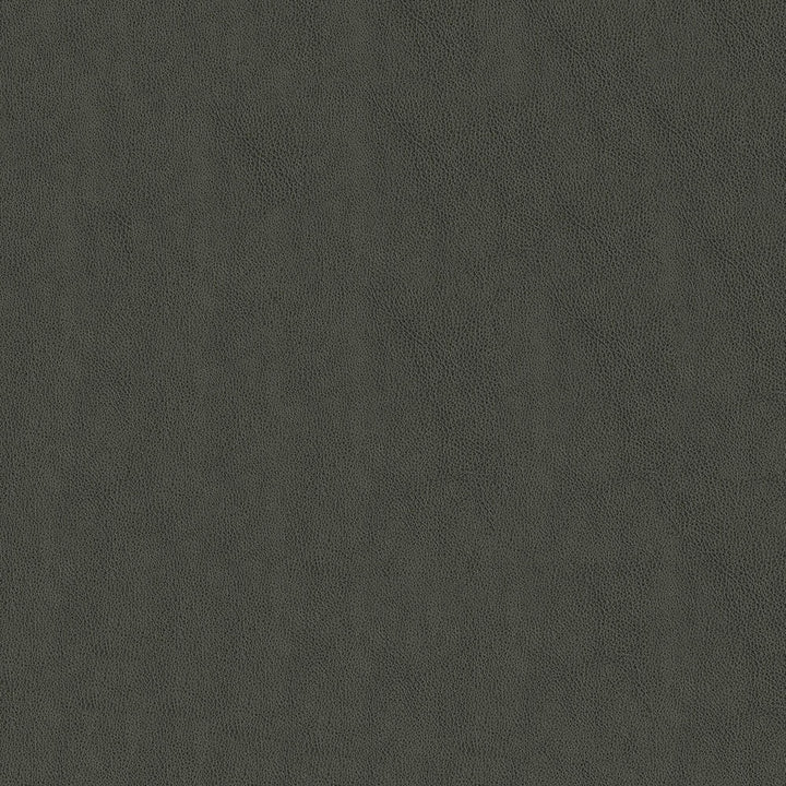 Baldwin 9006 Gunmetal by ABBEYSHEA Fabric N/A 21% Polyester, 10% Linen, 69% Rayon China 130,000 Double Rubs </p><p>Repeat: Horizontal: 13.78" (35 cm) Across the Roll and Vertical: 8.27" (21 cm) Up the Roll 56" (142 cm) - Fabric Carolina -