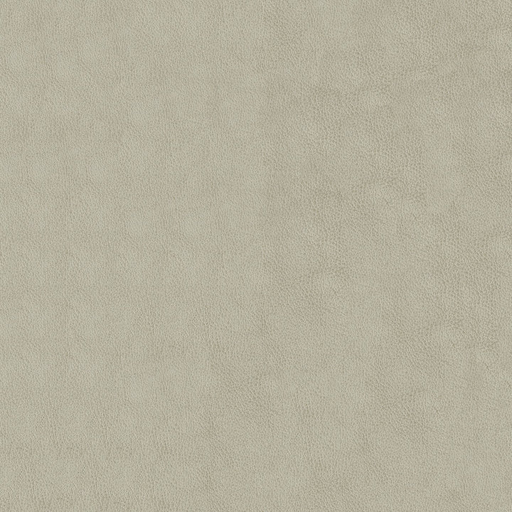 Baldwin 902 Alabaster by ABBEYSHEA Fabric N/A 100% Polyurethane (PU) China 200,000 Double Rubs </p><p>Repeat: Horizontal: and Vertical: 54" (137 cm) - Fabric Carolina -