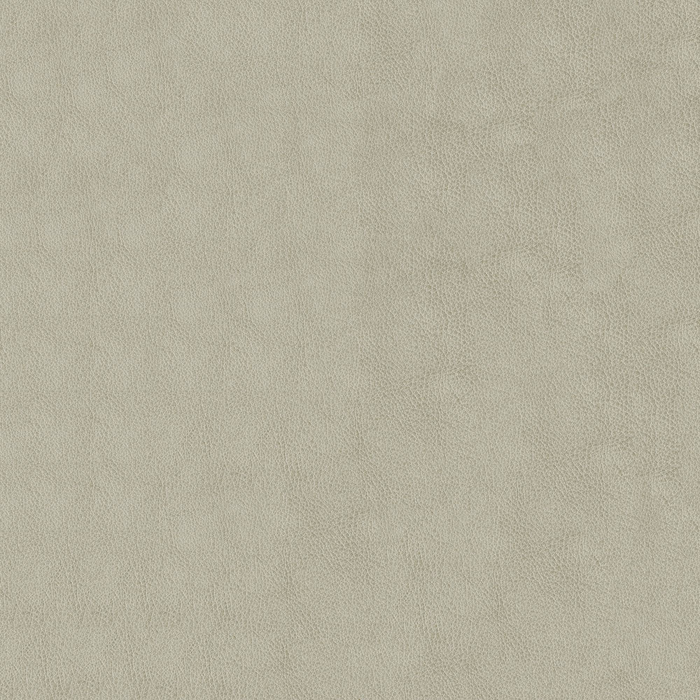 Baldwin 902 Alabaster by ABBEYSHEA Fabric N/A 100% Polyurethane (PU) China 200,000 Double Rubs </p><p>Repeat: Horizontal: and Vertical: 54" (137 cm) - Fabric Carolina -