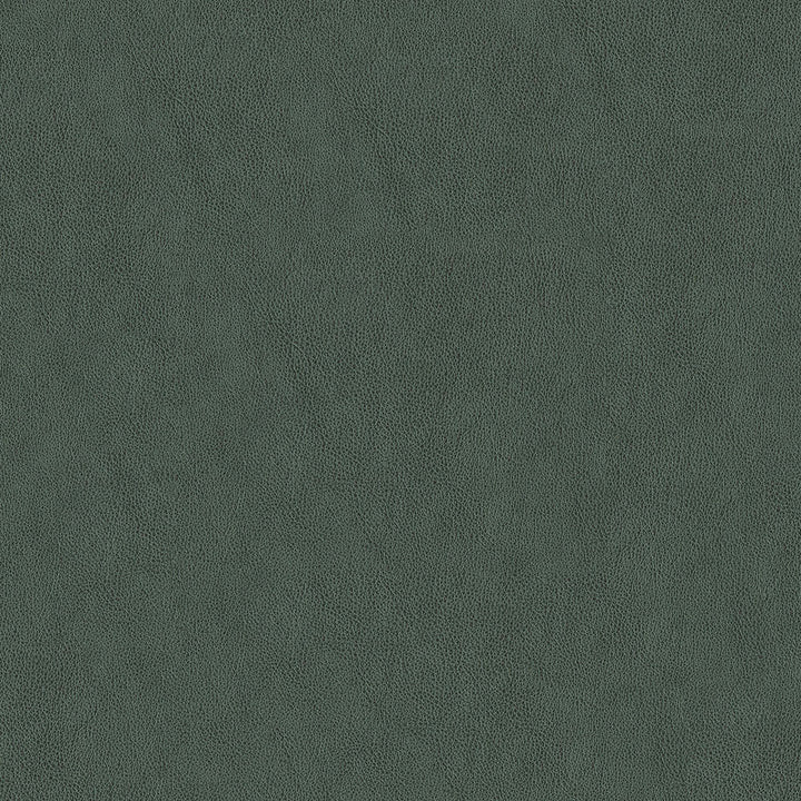 Baldwin 905 Smoke by ABBEYSHEA Fabric N/A 100% Polyurethane (PU) China 200,000 Double Rubs </p><p>Repeat: Horizontal: and Vertical: 54" (137 cm) - Fabric Carolina -