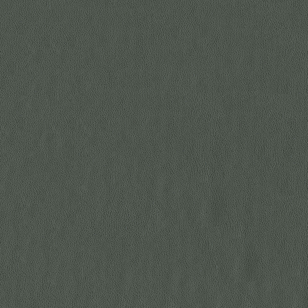 Baldwin 908 Graphite by ABBEYSHEA Fabric N/A 100% Polyurethane (PU) China 200,000 Double Rubs </p><p>Repeat: Horizontal: and Vertical: 54" (137 cm) - Fabric Carolina -