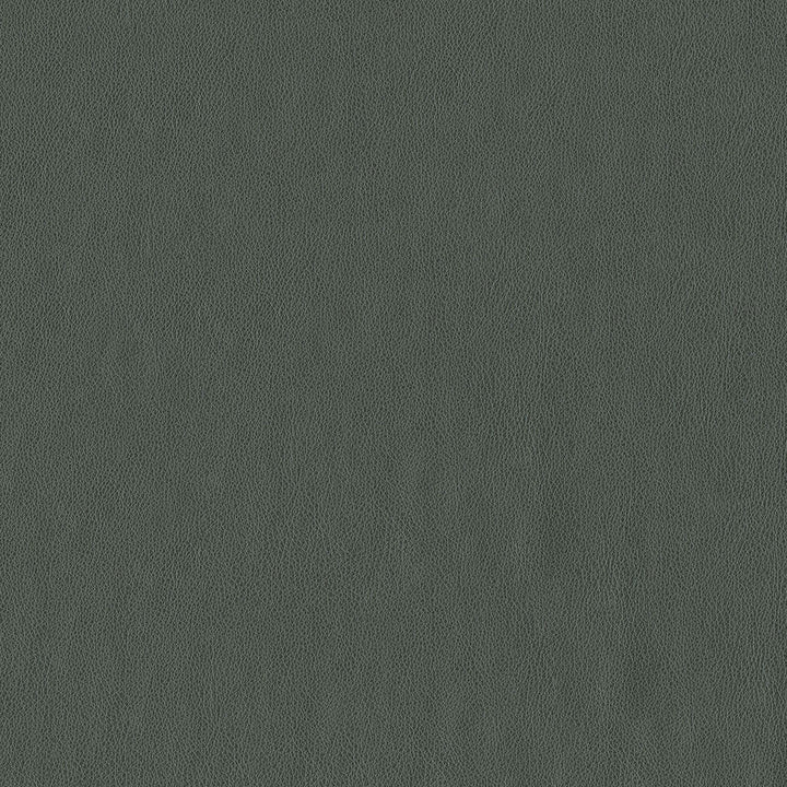 Baldwin 908 Graphite by ABBEYSHEA Fabric N/A 100% Polyurethane (PU) China 200,000 Double Rubs </p><p>Repeat: Horizontal: and Vertical: 54" (137 cm) - Fabric Carolina -
