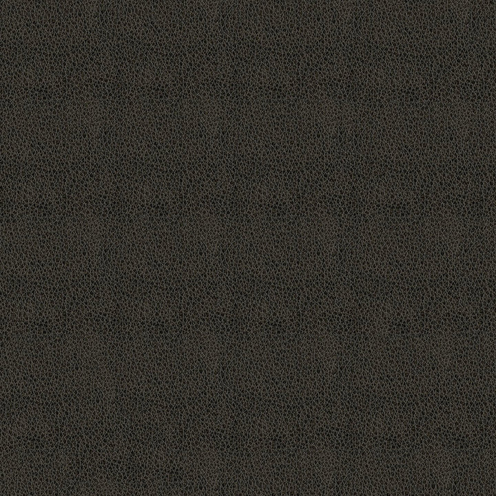 Baldwin 909 Charcoal by ABBEYSHEA Fabric N/A 100% Polyurethane (PU) China 200,000 Double Rubs </p><p>Repeat: Horizontal: and Vertical: 54" (137 cm) - Fabric Carolina -