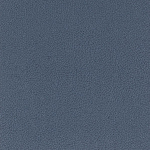 Classic 1 Blueberry by Stout Fabric