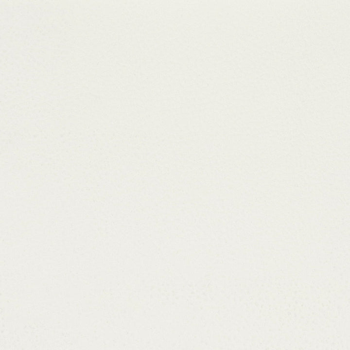 Classic 3 Natural by Stout Fabric ALL THINGS VERSATILE 80%OTH 20%UV SOUTH KOREA FLAME RETARDANT-U.F.A.C. CLASS 1 CATB 117-2013 WYZENBEEK 30 000 DOUBLE RUB WEAR TEST (HEAVY DUTY) Horizontal: 0.000 and Vertical: 0.000 54 in - Fabric Carolina -