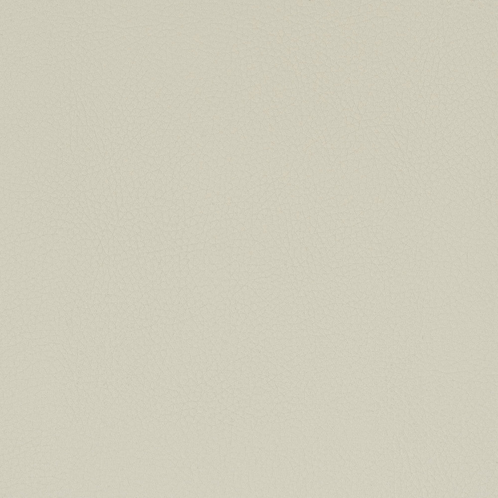 Classic 5 Camel by Stout Fabric ALL THINGS VERSATILE 80%OTH 20%UV KOREA WYZENBEEK 100 000 DOUBLE RUB WEAR TEST (HEAVY DUTY) PERFORMANCE RATED FABRIC FLAME RETARDANT-U.F.A.C. CLASS 1 CATB 117-2013 Horizontal: 0 and Vertical: 0 54 in - Fabric Carolina -