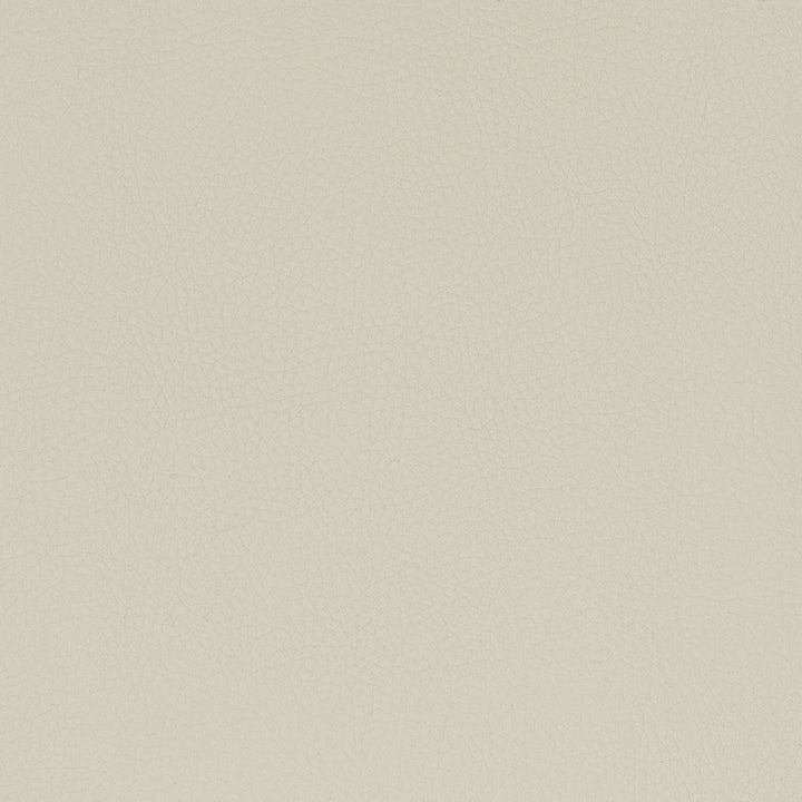 Classic 5 Camel by Stout Fabric Stout Fabric Classic 5 CamelFabric All Things Versatile 80%Oth 20%Uv South Korea </p><p>Repeat: H: 0, V: 26.25 54 in - Fabric Carolina -