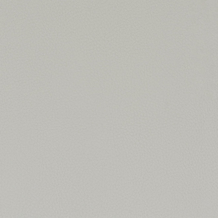 Classic 7 Flint by Stout Designer Fabric ALL THINGS VERSATILE 80%OTH 20%UV SOUTH KOREA FLAME RETARDANT-U.F.A.C. CLASS 1 WYZENBEEK 27 000 DOUBLE RUB WEAR TEST (HEAVY DUTY) CATB 117-2013 LIGHTFASTNESS-AATCC TM 16 (1500 HOURS) Horizontal: 0.000 and Vertical: 0.000 54 in - Swanky Fabrics -