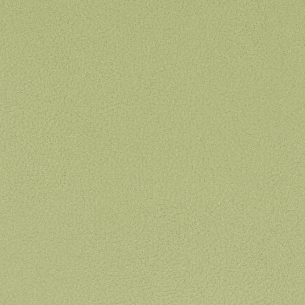 Classic 8 Pistachio by Stout Fabric ALL THINGS VERSATILE 80%OTH 20%UV KOREA WYZENBEEK 100 000 DOUBLE RUB WEAR TEST (HEAVY DUTY) PERFORMANCE RATED FABRIC FLAME RETARDANT-U.F.A.C. CLASS 1 CATB 117-2013 Horizontal: 0 and Vertical: 0 54 in - Fabric Carolina -