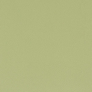 Classic 8 Pistachio by Stout Fabric