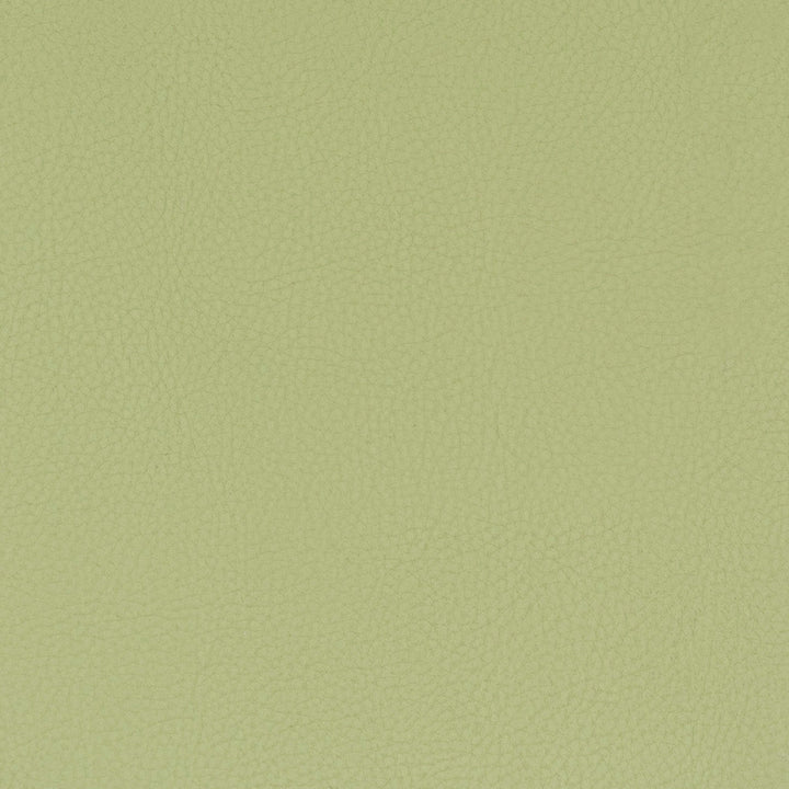 Classic 8 Pistachio by Stout Fabric Stout Fabric Classic 8 PistachioFabric ALL THINGS VERSATILE 80%OTH 20%UV SOUTH KOREA </p><p>Repeat: H: 0.000, V: 0.000 54 in - Fabric Carolina -