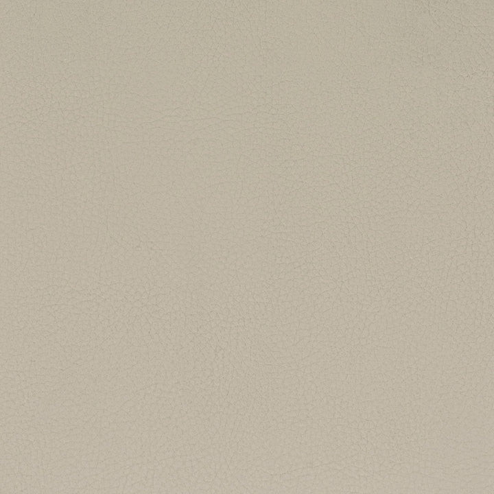 Classic 9 Camel by Stout Fabric ALL THINGS VERSATILE 80%OTH 20%UV KOREA WYZENBEEK 100 000 DOUBLE RUB WEAR TEST (HEAVY DUTY) PERFORMANCE RATED FABRIC FLAME RETARDANT-U.F.A.C. CLASS 1 CATB 117-2013 Horizontal: 0 and Vertical: 0 54 in - Fabric Carolina -