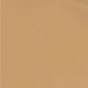 Clawson Cashew by Norbar Fabric ENDURO 100% POLY VINYL CHLO TAIWAN 500,000 WYZENBEEK 54" - Fabric Carolina -