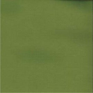 Clearwater Green 12195 by Norbar Fabric PACIFIC 100% BELLA DURA USA 50,000 WYZENBEEK </p><p>Repeat: 54" - Fabric Carolina -