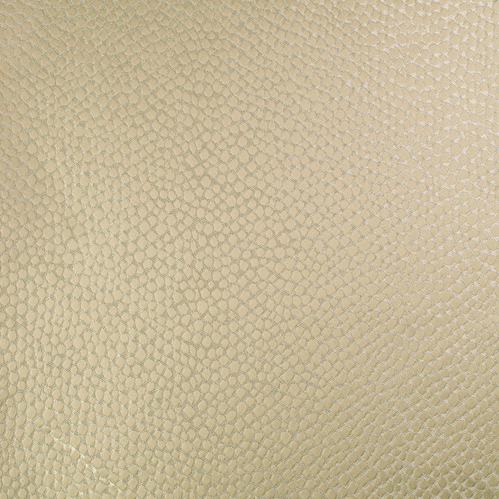 Clemson Crema by Norbar Fabric PARAMOUNT 100% POLYESTER INDIA 5 1/2"V 4 3/4"H 54 - Fabric Carolina -